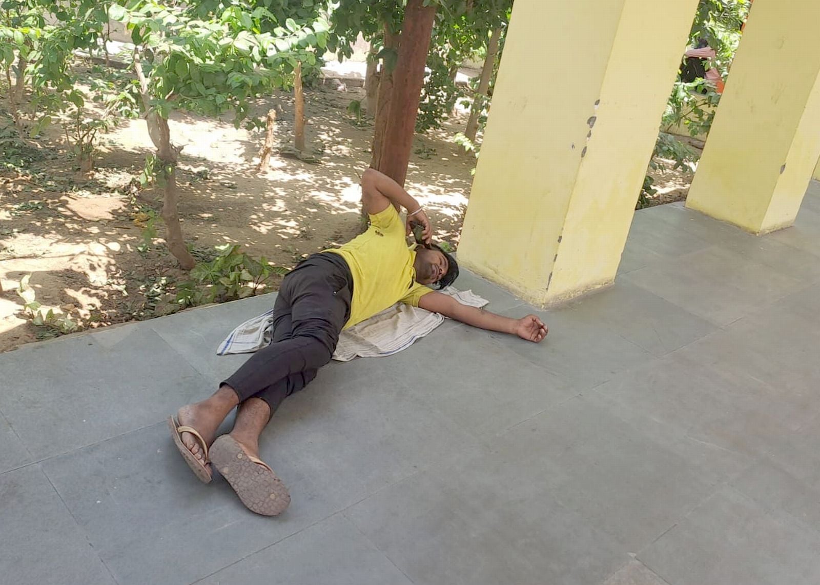इस्लामनगर में पिवारी गांव में टूटा पेड़। संवाद इस्लामनगर में पिवारी गांव में टूटा पेड़। संवाद