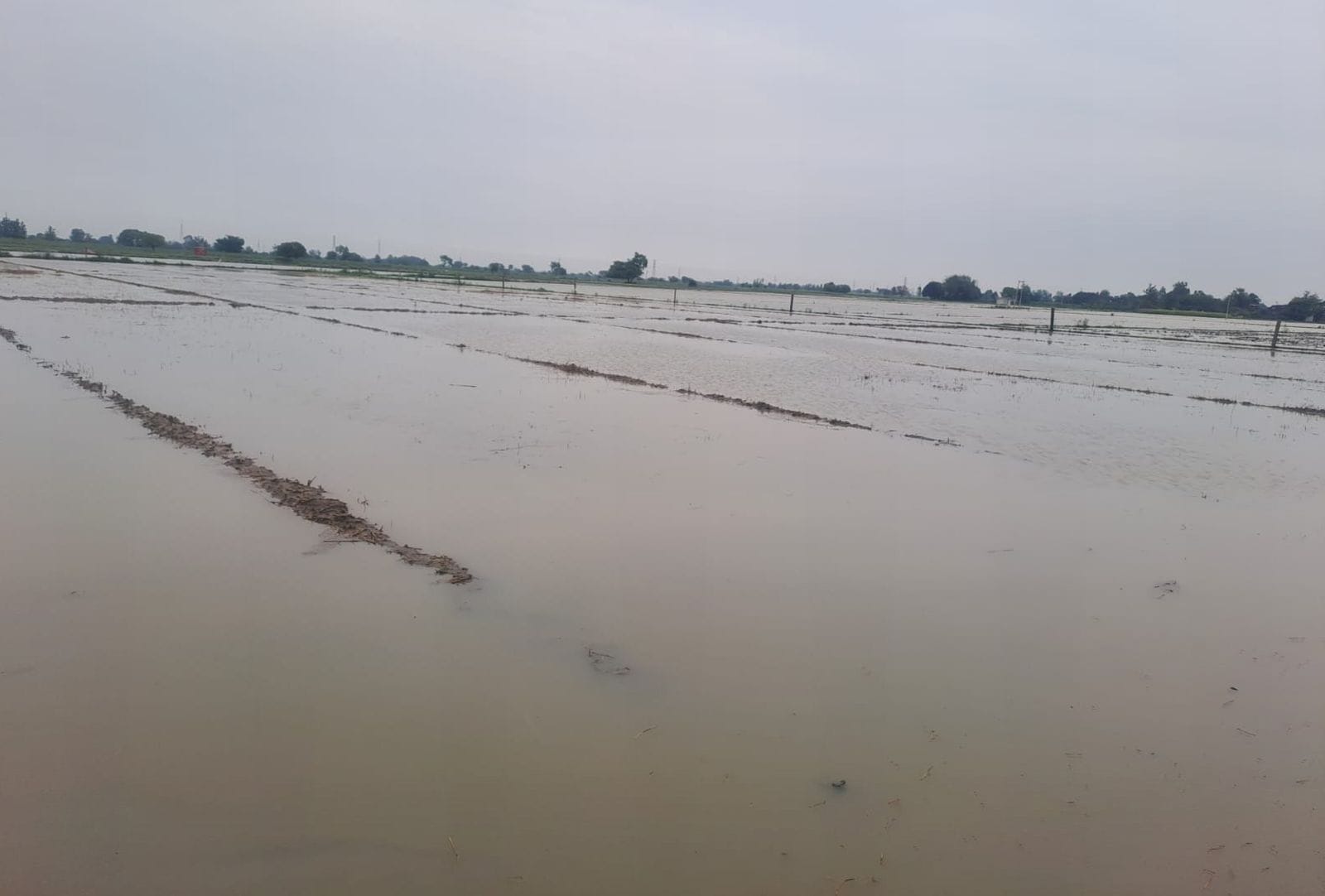 दबतोरी अस्पताल परिसर में भरा बारिश का पानी। संवाद दबतोरी अस्पताल परिसर में भरा बारिश का पानी। संवाद