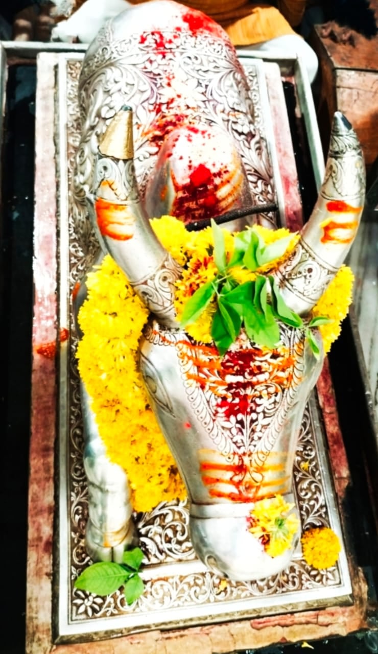 भस्म आरती मे कानो में सर्प मस्तक पर चन्द्र लगाकर सजे बाबा महाकाल भस्म आरती मे कानो में सर्प मस्तक पर चन्द्र लगाकर सजे बाबा महाकाल