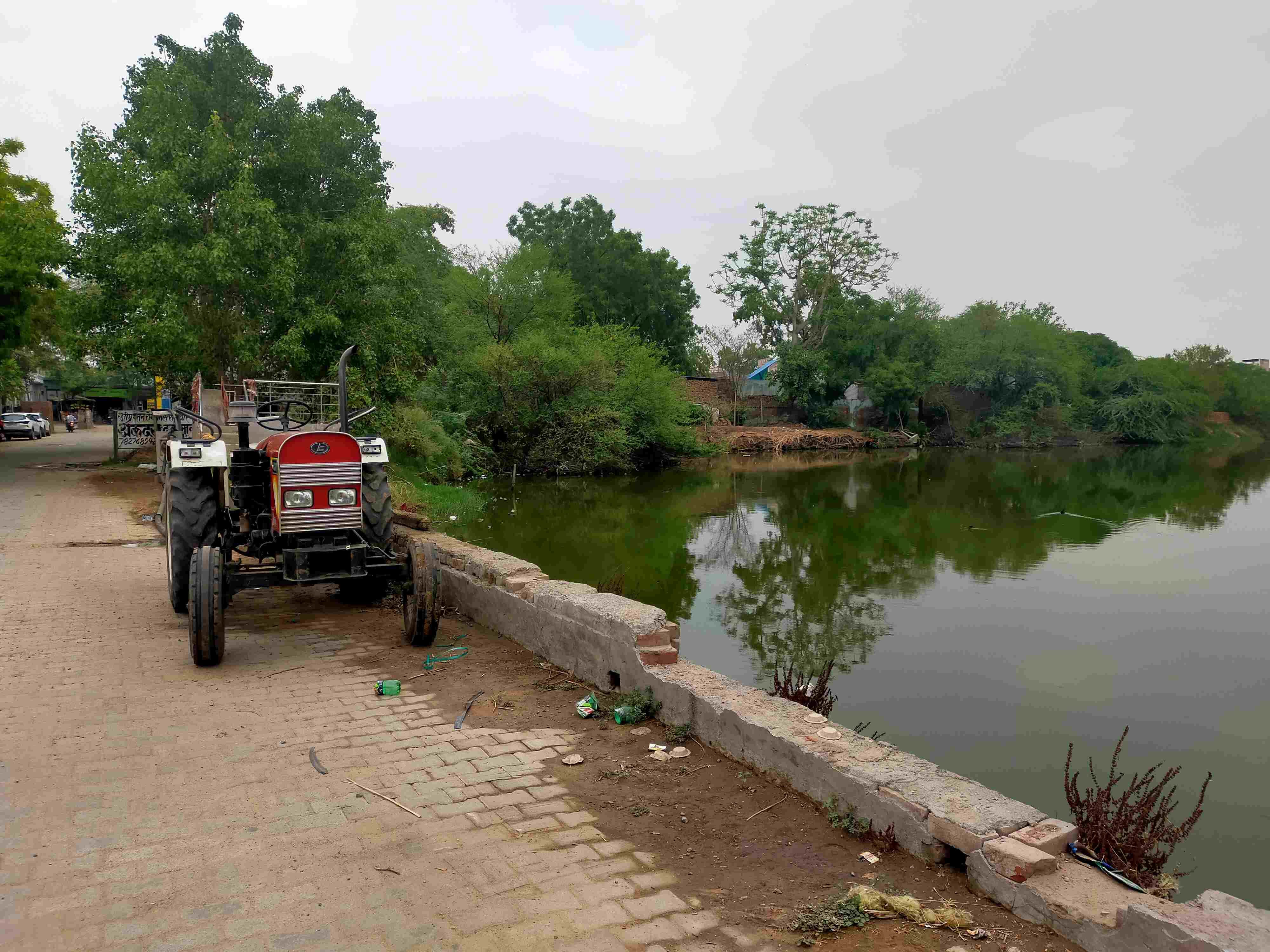 फोटो संख्या:65-कनीना में जोहड़ में फैली गंदगी--स्रोत--संवाद