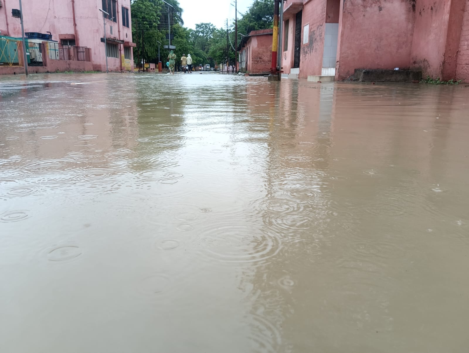 पूरनपुर के गांव तकिया दिनारपुर के प्राथमिक स्कूल में हुआ जलभराव।स्रोत:ग्रामीण