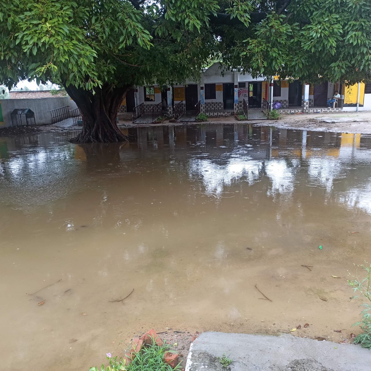 पूरनपुर के गांव तकिया दिनारपुर के प्राथमिक स्कूल में हुआ जलभराव।स्रोत:ग्रामीण