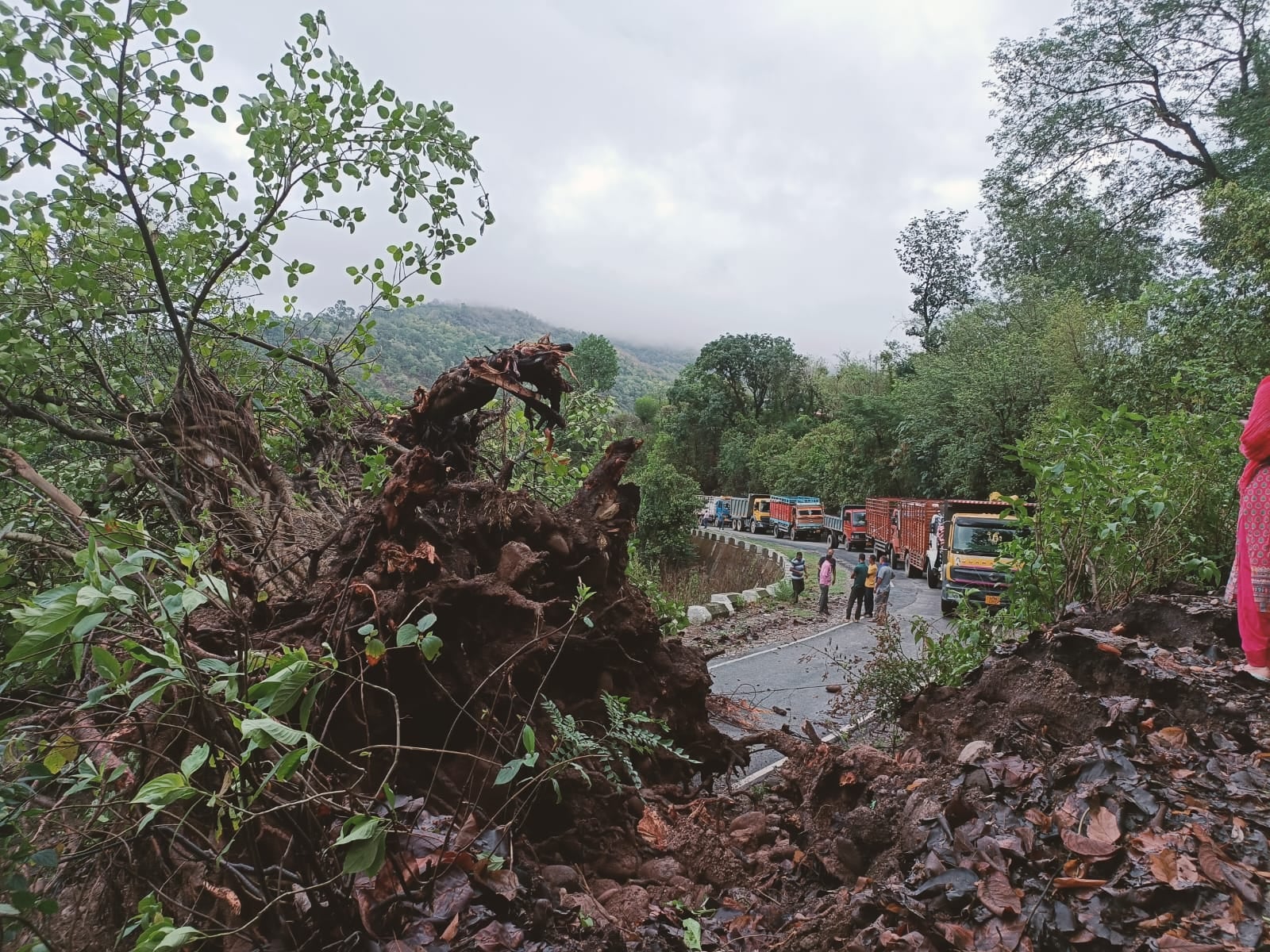 गगल में टाटा एजेंसी के साथ ढंगे के गिरने से एजेंसी को हुआ करोड़ों का नुकसान गगल में टाटा एजेंसी के साथ ढंगे के गिरने से एजेंसी को हुआ करोड़ों का नुकसान