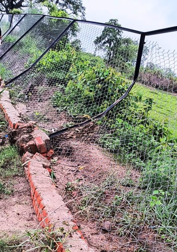 पलिया तहसील के गुलरा में हाथियों द्वारा तोड़ी गई तार फैंसिंग।