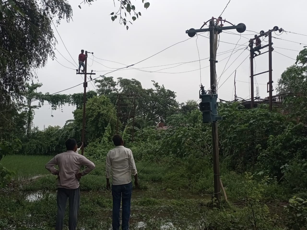 बिजली लाइन पर गिरे पेड़ों को काटते बिजलीकर्मी