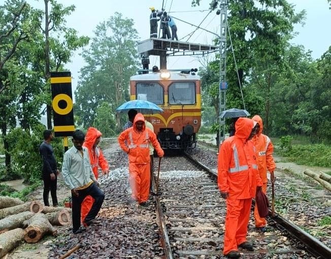 बांकेगंज में रेल ट्रैक पर गिरा पेड़।