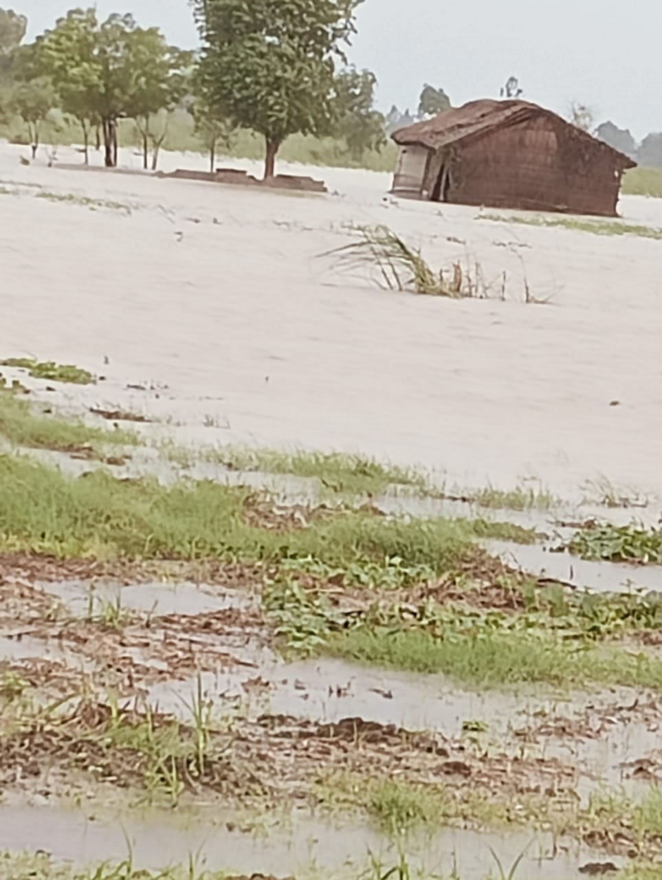 बैल्हा बाजार घाट में घरों में घूसा पानीं। स्रोत: ग्रामीण