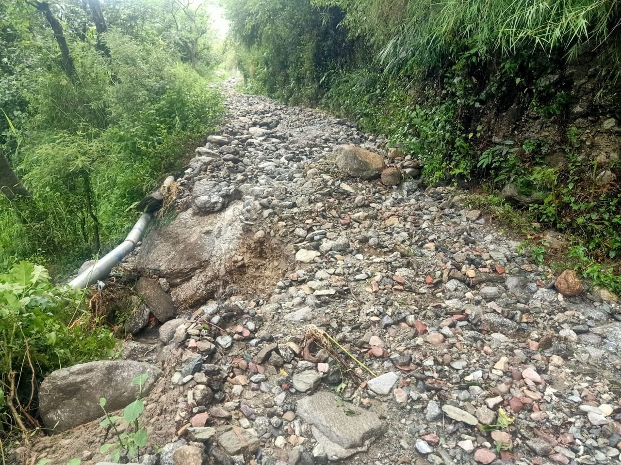 जोगिंद्रनगर में बारिश से क्षतिग्रस्त सड़क  संवाद