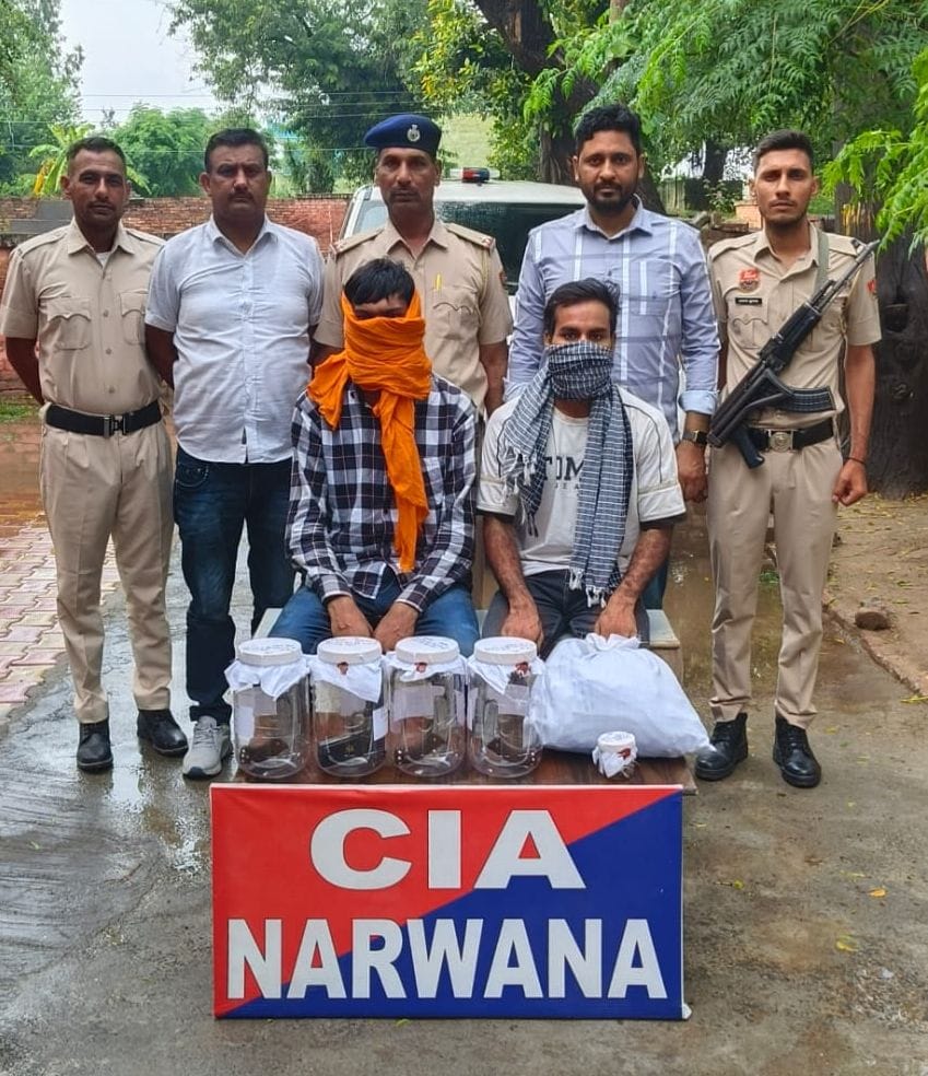 08जेएनडी12: पुलिस गिरफ्त में पकड़े गए दोनों आरोपी। स्रोत पुलिस प्रशासन 08जेएनडी12: पुलिस गिरफ्त में पकड़े गए दोनों आरोपी। स्रोत पुलिस प्रशासन