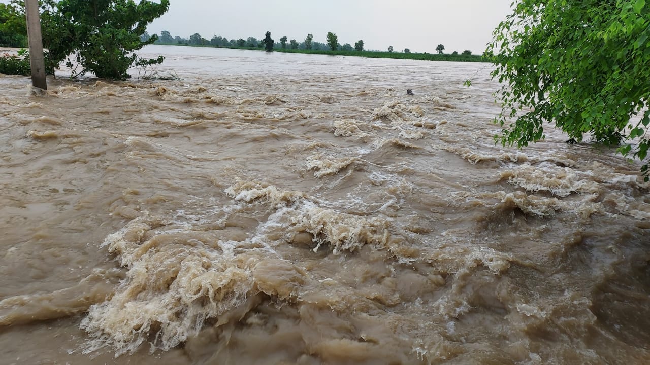 बिजुआ क्षेत्र में बझेड़ा तटबंध कटने के बाद का नजारा- संवाद बिजुआ क्षेत्र में बझेड़ा तटबंध कटने के बाद का नजारा- संवाद