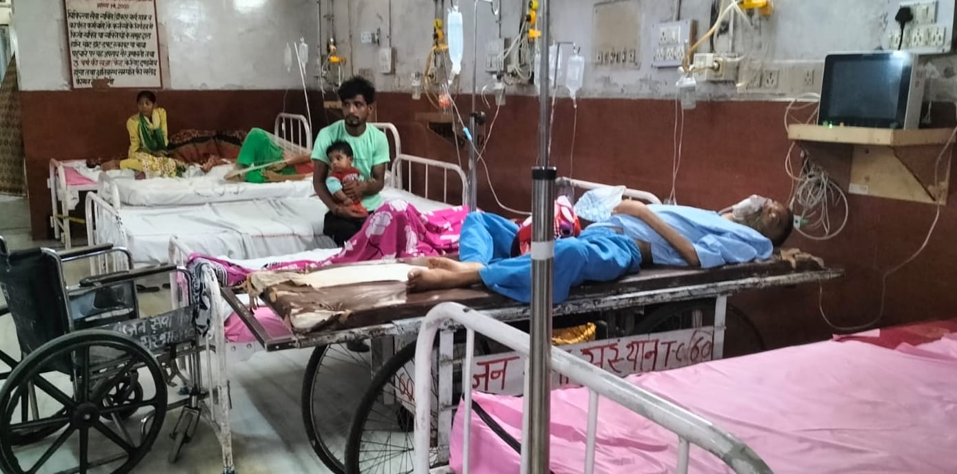 09सीटीके40... डॉक्टर प्रियंका, डीएमएस। 09सीटीके40... डॉक्टर प्रियंका, डीएमएस।