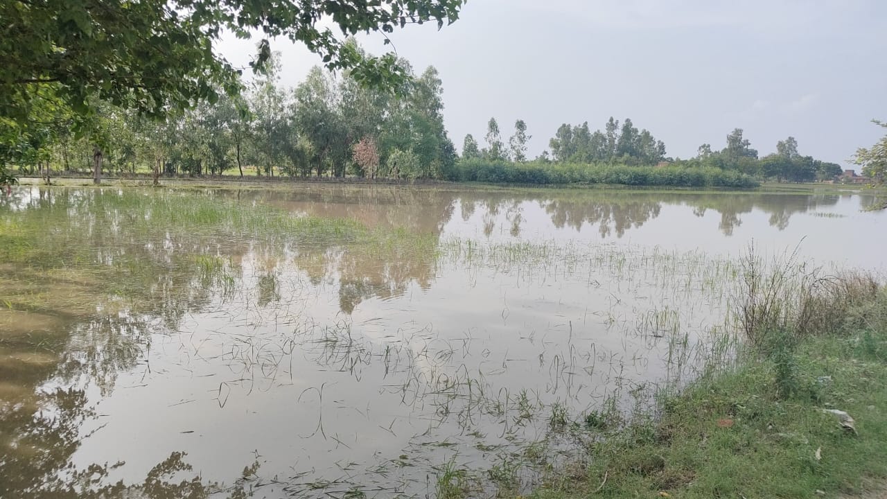सूदनपुर तटबंध पर जियो ट्यूब के ऊपर पापलाइन से डाली जा रही मिट्टी सूदनपुर तटबंध पर जियो ट्यूब के ऊपर पापलाइन से डाली जा रही मिट्टी