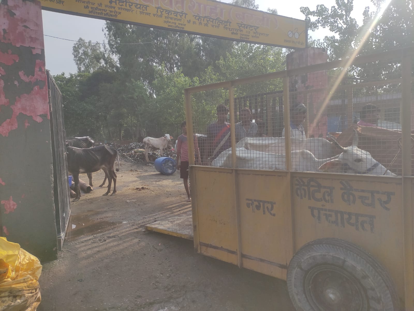 शाही में गोशाला तक पहुंचा बहगुल नदी का जलस्तर। संवाद शाही में गोशाला तक पहुंचा बहगुल नदी का जलस्तर। संवाद