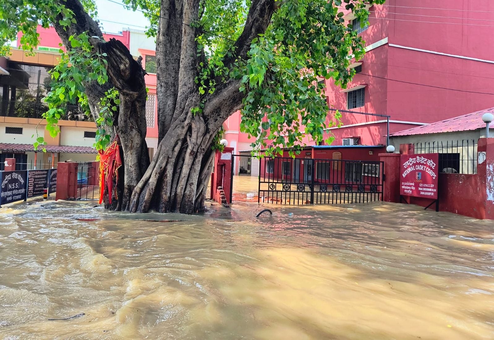 बरेली मोड़ से राजकीय मेडिकल कॉलेज तक भरे पानी के बीच से निकलते लोग। संवाद बरेली मोड़ से राजकीय मेडिकल कॉलेज तक भरे पानी के बीच से निकलते लोग। संवाद