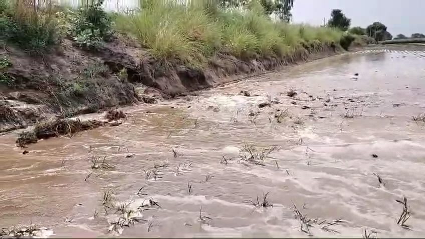 गांव नाैनंद के पास भालौठ नहर टूटने के बाद बहता पानी । स्रोत: वीडियोग्रैब गांव नाैनंद के पास भालौठ नहर टूटने के बाद बहता पानी । स्रोत: वीडियोग्रैब
