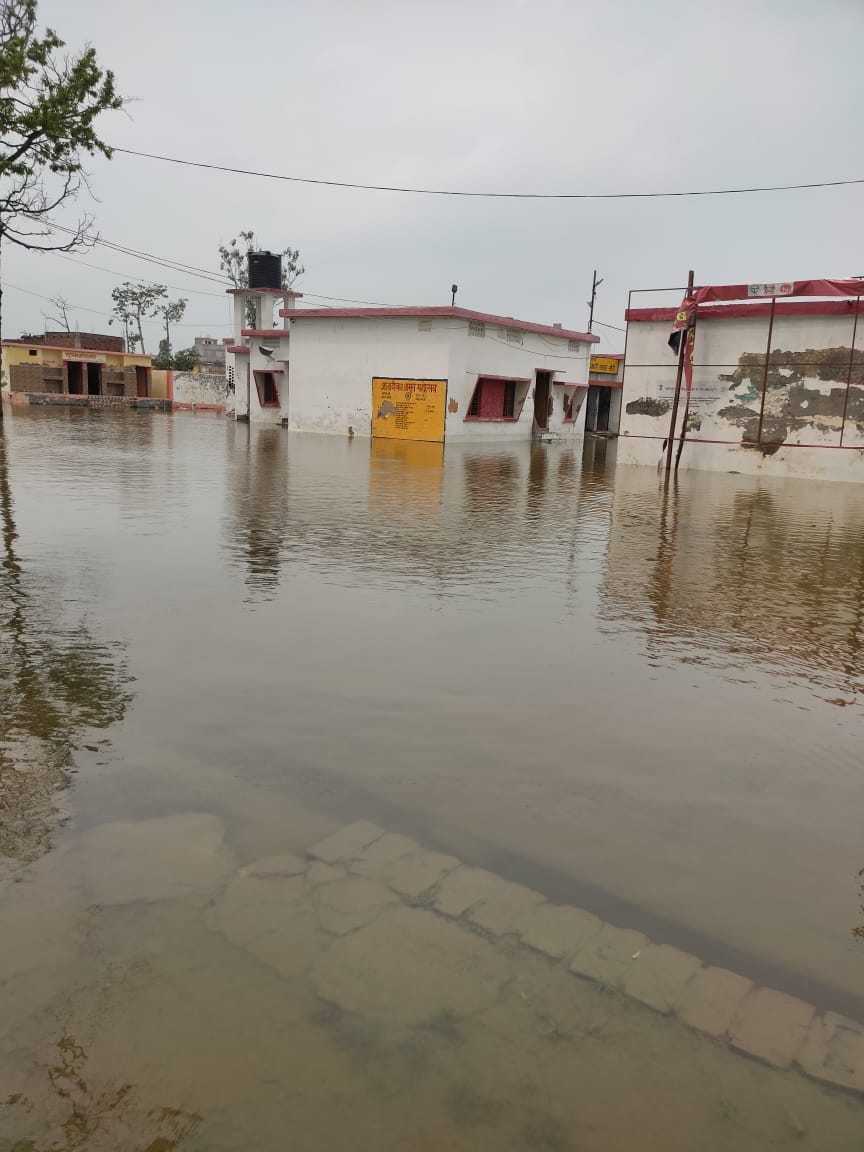 साइकिल पर चारा लेकरजाता ग्रामीण। संवाद साइकिल पर चारा लेकरजाता ग्रामीण। संवाद