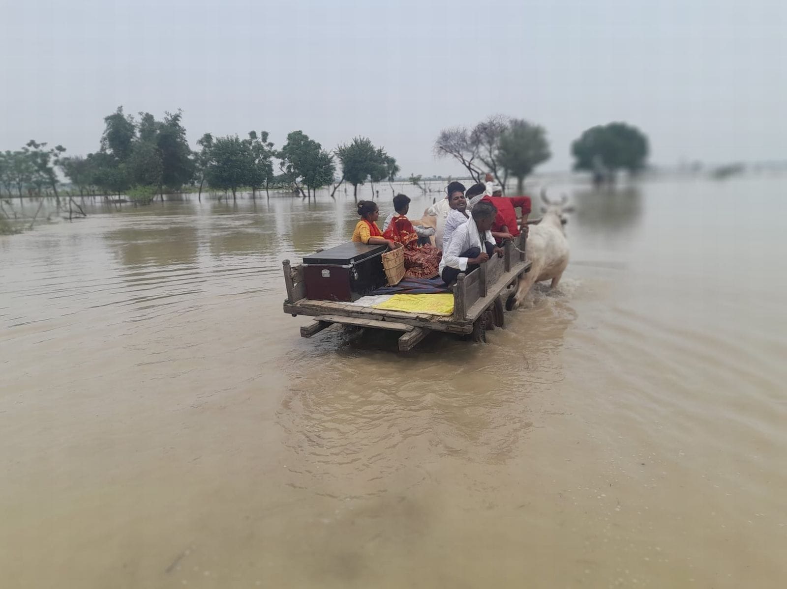 शादी होकर आई दुल्हन पुल से नीचे उतरती हुई। संवाद शादी होकर आई दुल्हन पुल से नीचे उतरती हुई। संवाद