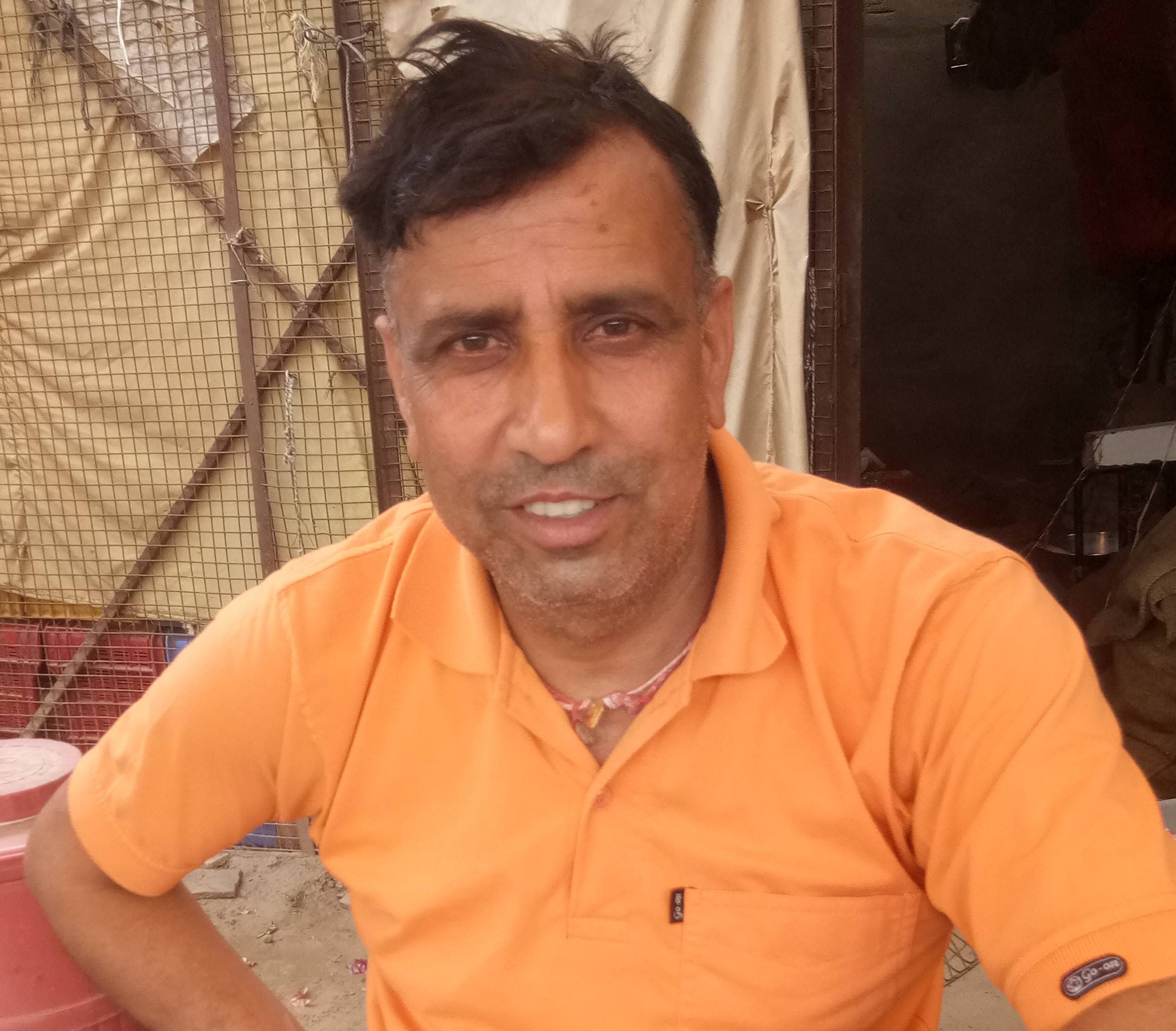 फोटो संख्या:51- सब्जी मंडी महेंद्रगढ़ में बैठे बेसहारा गोवंश--स्रोत--संवाद
