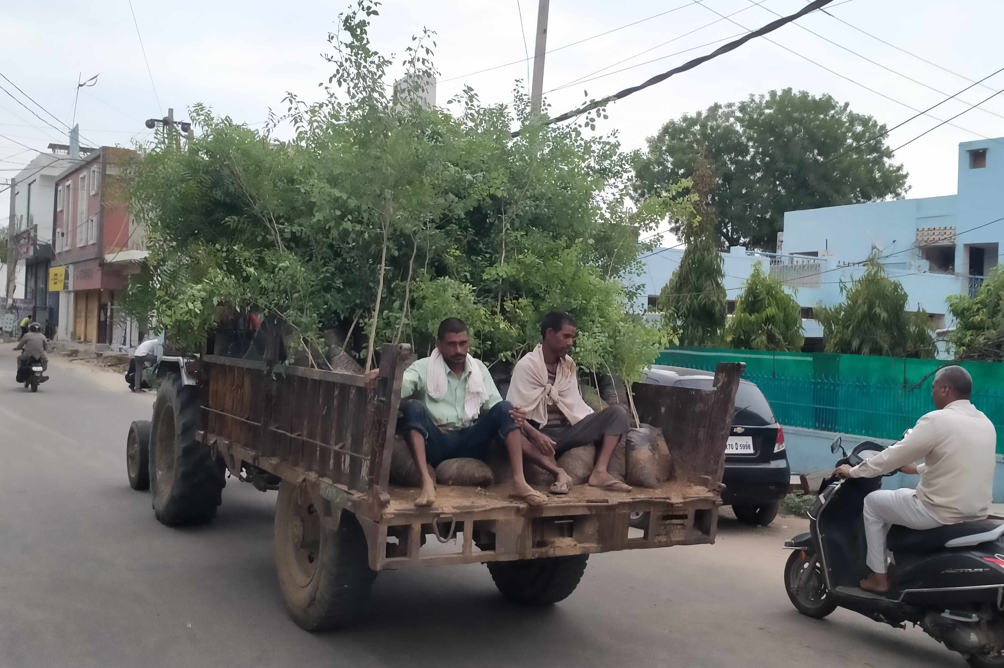 फोटो संख्या:57- महेंद्रगढ़ वन विभाग की नर्सरी में तैयार किए गए पौधे--स्रोत--संवाद फोटो संख्या:57- महेंद्रगढ़ वन विभाग की नर्सरी में तैयार किए गए पौधे--स्रोत--संवाद