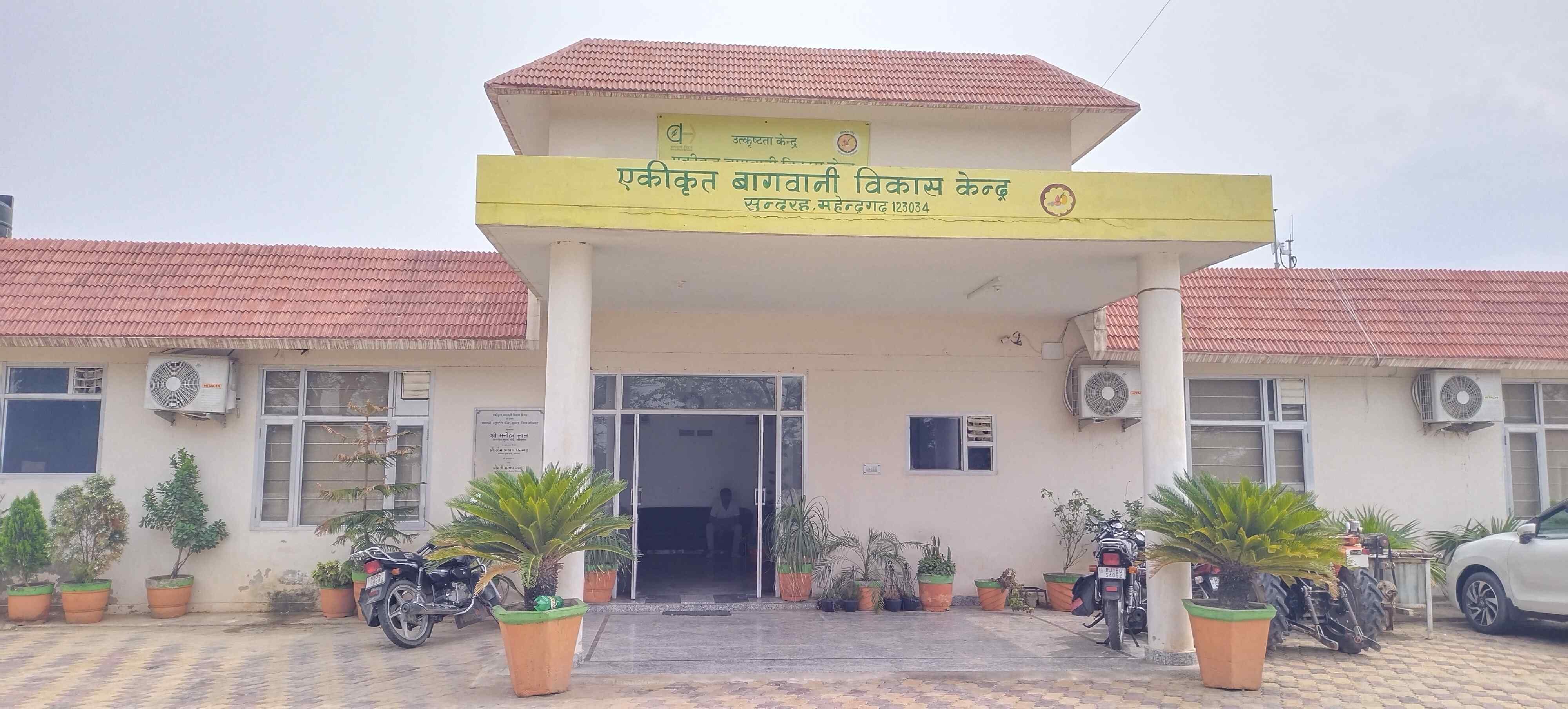 फोटो संख्या:63- बागवानी विकास केंद सुंदरह में क्षतिग्रस्त पोली हाउस--संवाद
