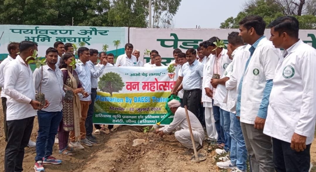 20जेएनडी08 : हमेटी में पौधरोपण करते जिला बागवानी अधिकारी कमल सैनी व अन्य अधिकारी। संवाद 20जेएनडी08 : हमेटी में पौधरोपण करते जिला बागवानी अधिकारी कमल सैनी व अन्य अधिकारी। संवाद