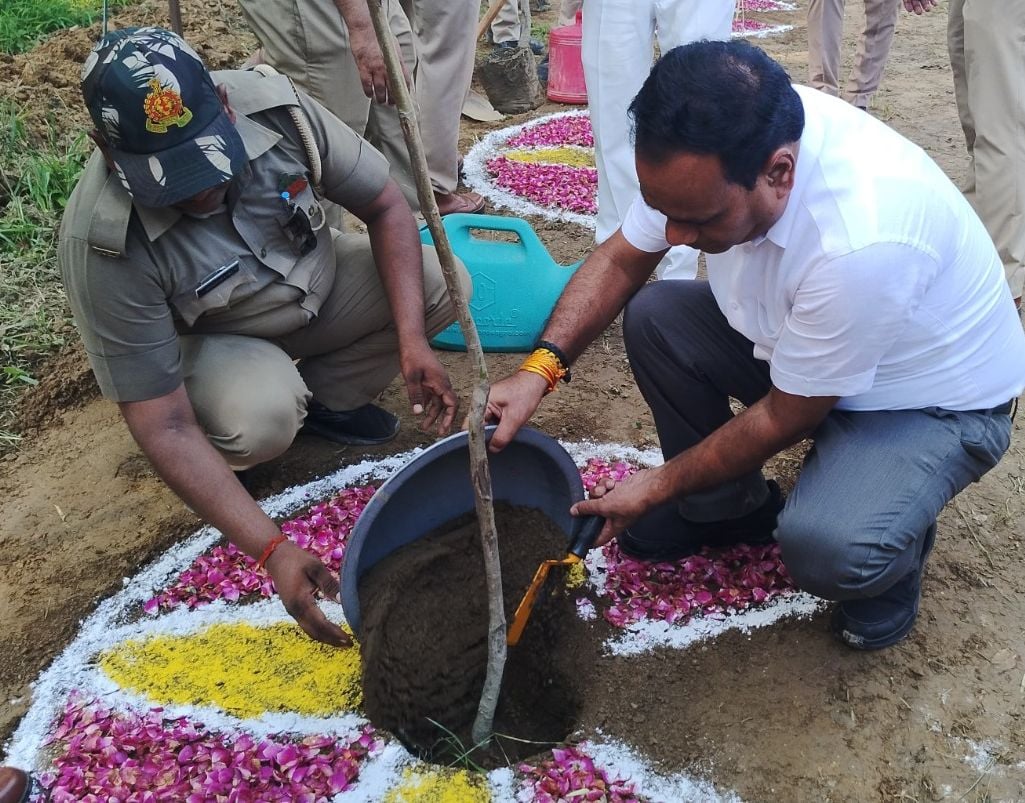 तिलहर तहसील में वृक्षारोपण करती एसडीएम अंजलि गंगवार। स्रोत: प्रशासन