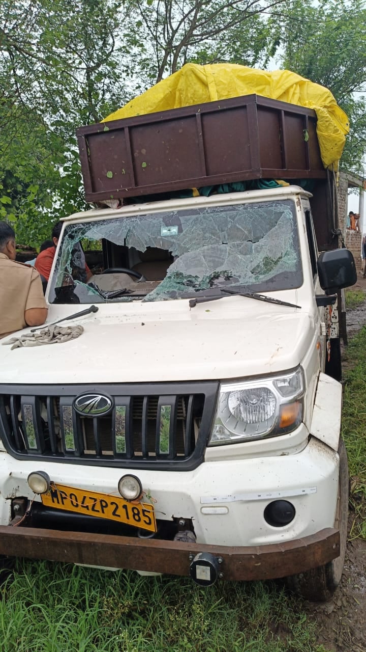 वन अमले की पकड़ में आया शातिर लकड़ी तस्कर वन अमले की पकड़ में आया शातिर लकड़ी तस्कर