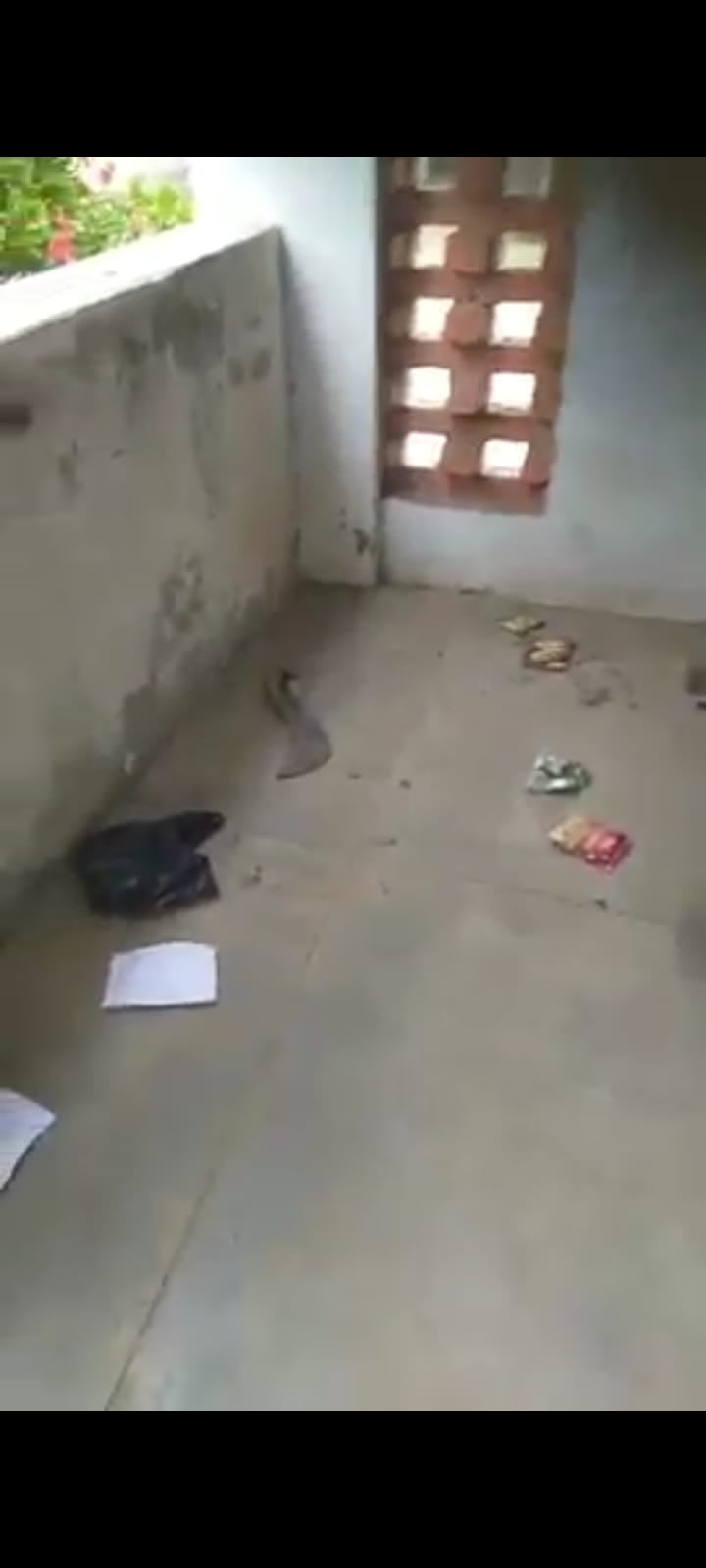 गोरीवाला के सरकारी स्कूल की दीवार पर लिखे गए खालिस्तानी नारे। संवाद गोरीवाला के सरकारी स्कूल की दीवार पर लिखे गए खालिस्तानी नारे। संवाद
