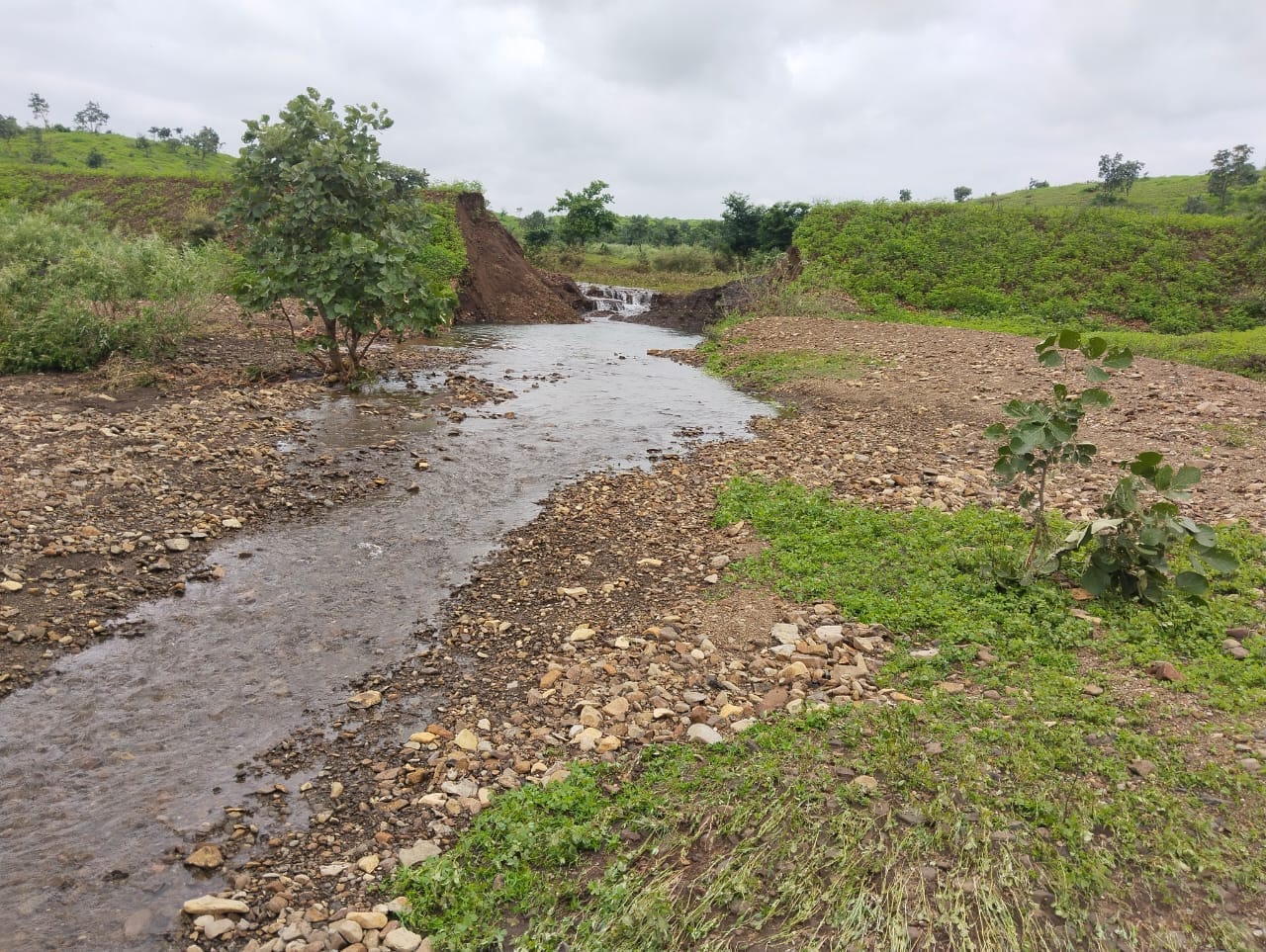 बर्बाद हुई फसल के साथ पीड़ित किसान