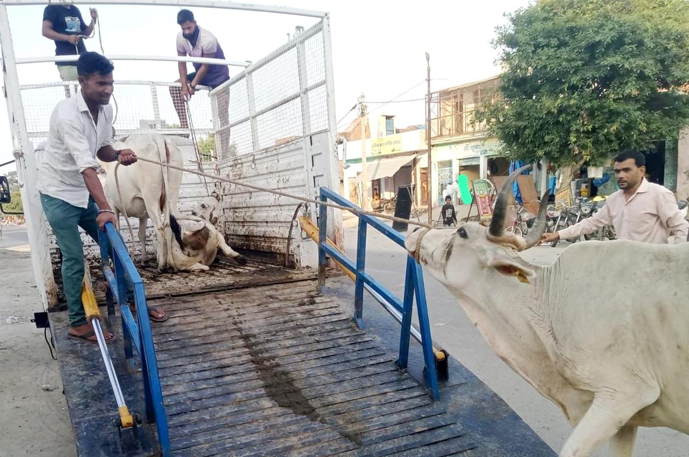 कछला से जल लेकर निकले कांवड़िये। संवाद कछला से जल लेकर निकले कांवड़िये। संवाद