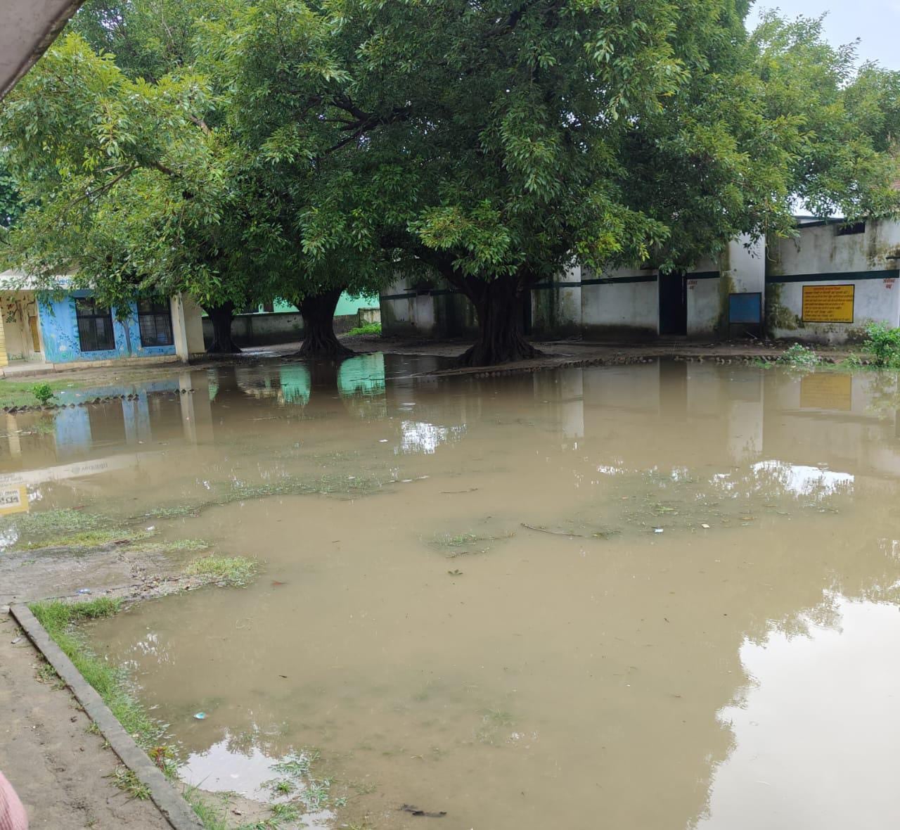 महोंफ कॉलोनी के स्कूल में भरा पानी।स्रोत:शिक्षक महोंफ कॉलोनी के स्कूल में भरा पानी।स्रोत:शिक्षक