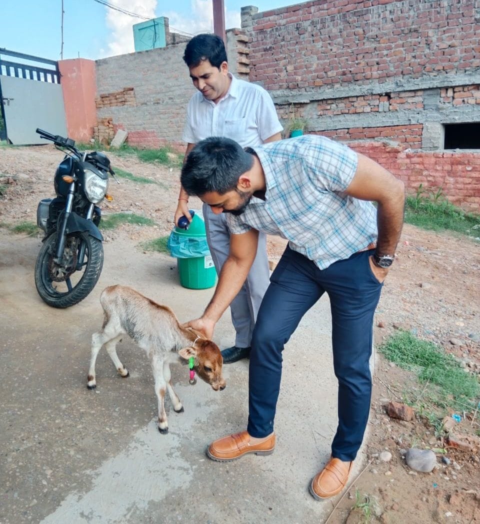 डीसी ने किया बहडाला कड़कनाथ पोल्ट्री फार्म का दौरा डीसी ने किया बहडाला कड़कनाथ पोल्ट्री फार्म का दौरा