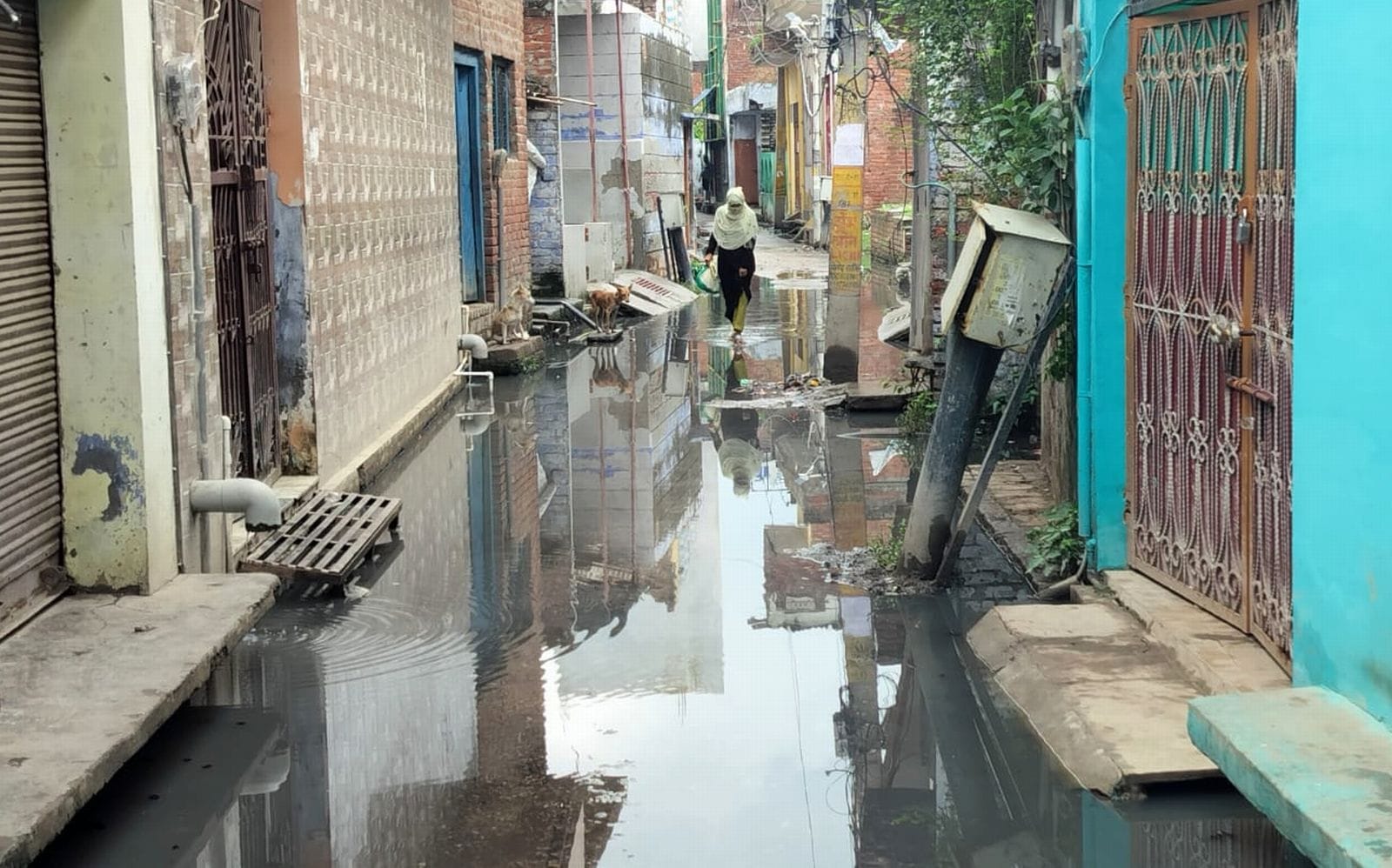 मधुबन कॉलोनी में भरा बारिश का पानी। संवाद मधुबन कॉलोनी में भरा बारिश का पानी। संवाद