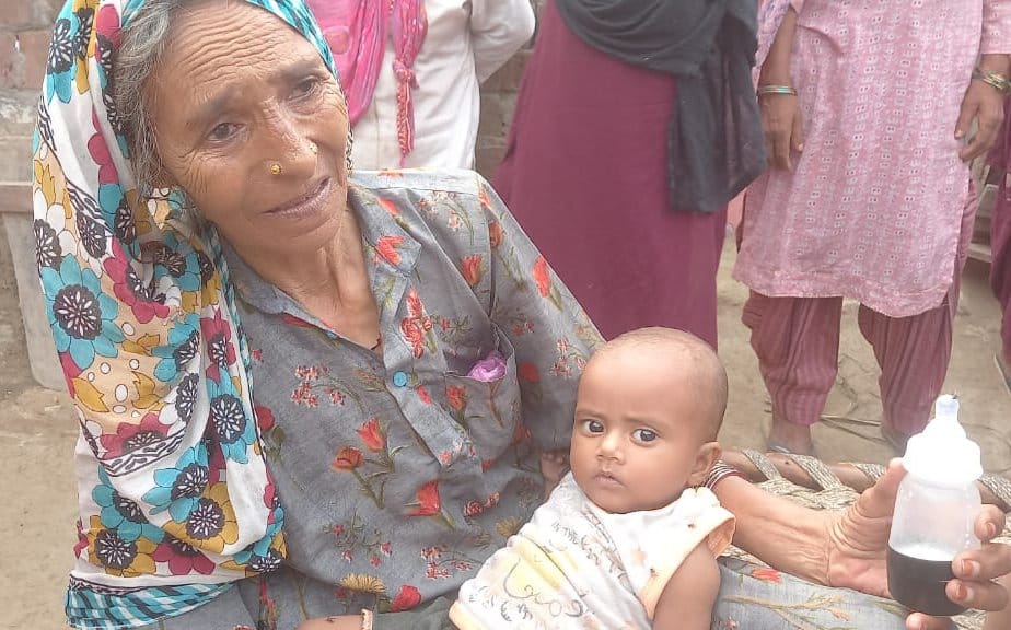 झिंझाना क्षेत्र के गांव मंसूरा में नर्गिस का फाइल फोटो