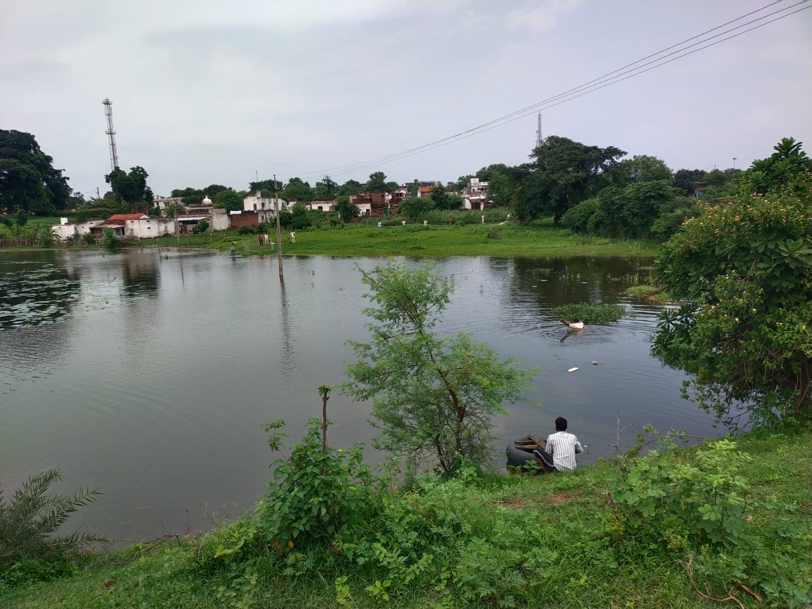 sagar मगरमच्छ