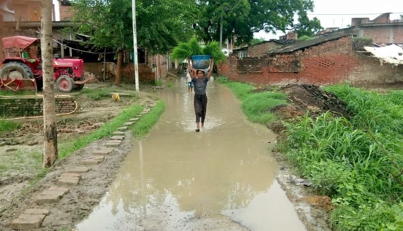 पूरब पश्चिम शरीरा नगर पंचायत के श्यामा प्रसाद मुखर्जी नगर के रास्ते में जलभराव।    संवाद