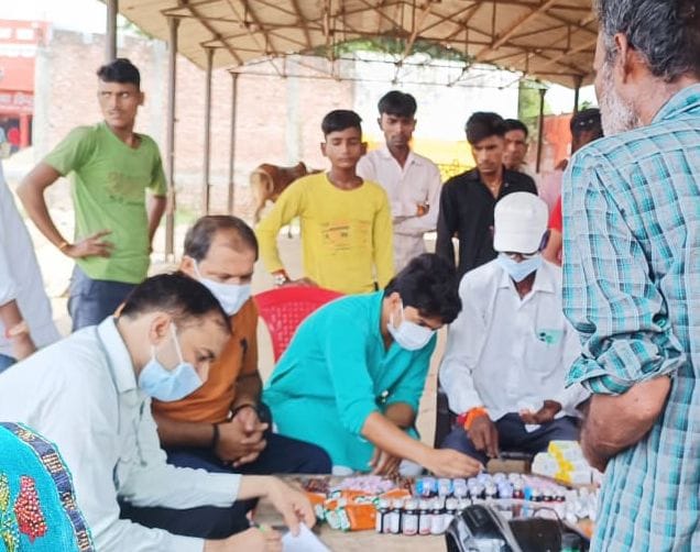बाजार में बिक रही कीवी। संवाद बाजार में बिक रही कीवी। संवाद