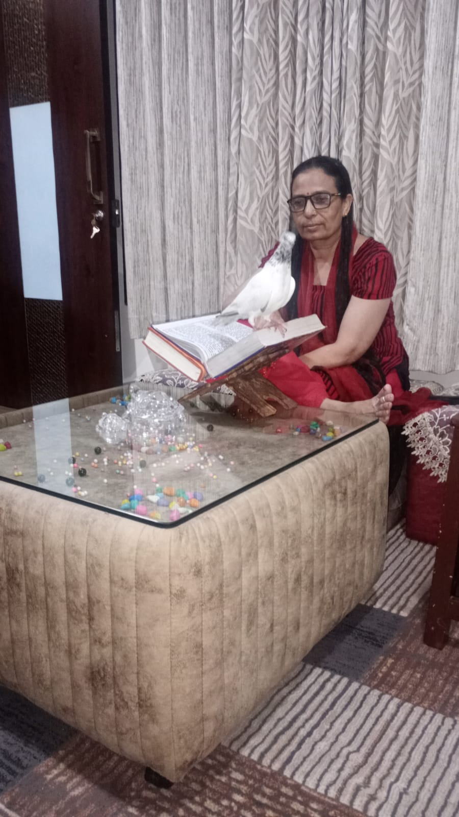 उज्जैन मे चर्चाओं में छाया शिव भक्त कबूतर...घर मे चल रही थी शिव महापुराण.... अचानक पहुंचा और चु