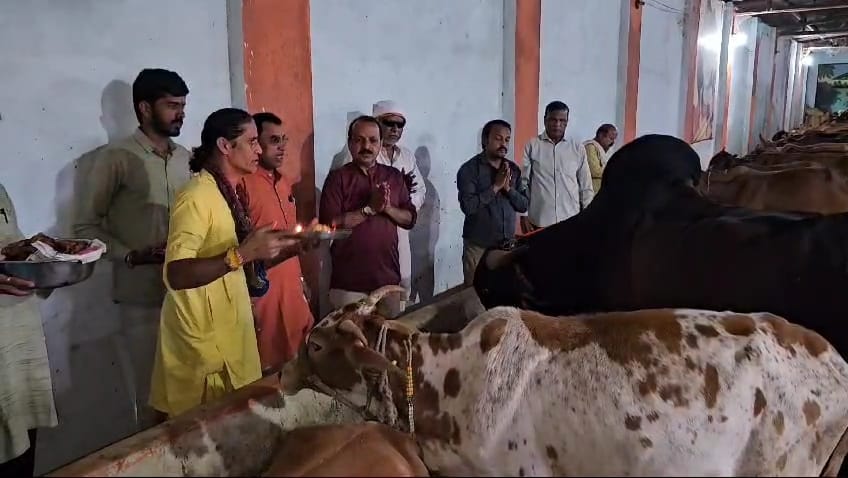 गाय को रक्षा सूत्र बांध मनाया जन्माष्टमी पर्व