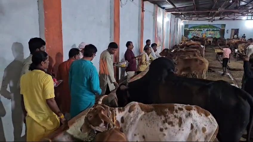 गाय को रक्षा सूत्र बांध मनाया जन्माष्टमी पर्व