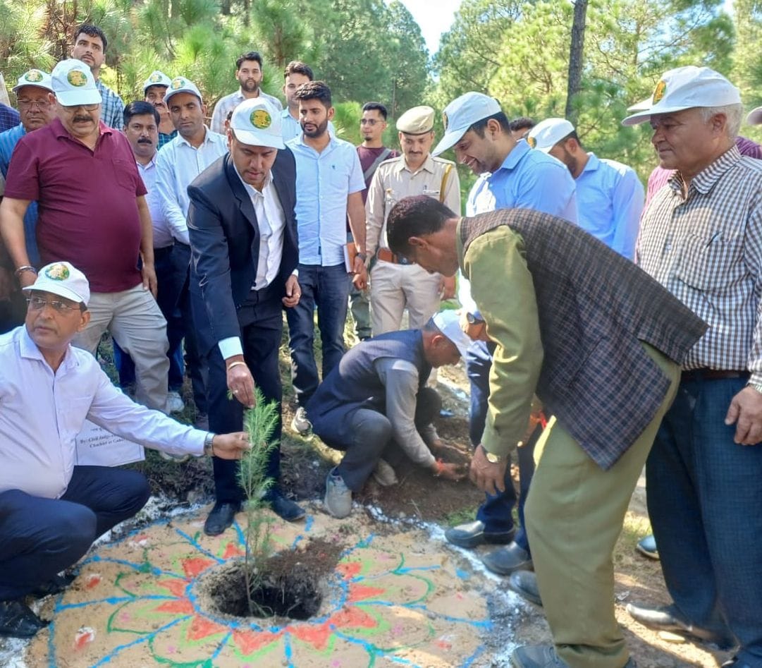 पोषण अभियान के तहत सराज क्षेत्र के नेचर पार्क भुलाह में पौधारोपण करती आंगनबाड़ी कार्यकर्ता। सं पोषण अभियान के तहत सराज क्षेत्र के नेचर पार्क भुलाह में पौधारोपण करती आंगनबाड़ी कार्यकर्ता। सं