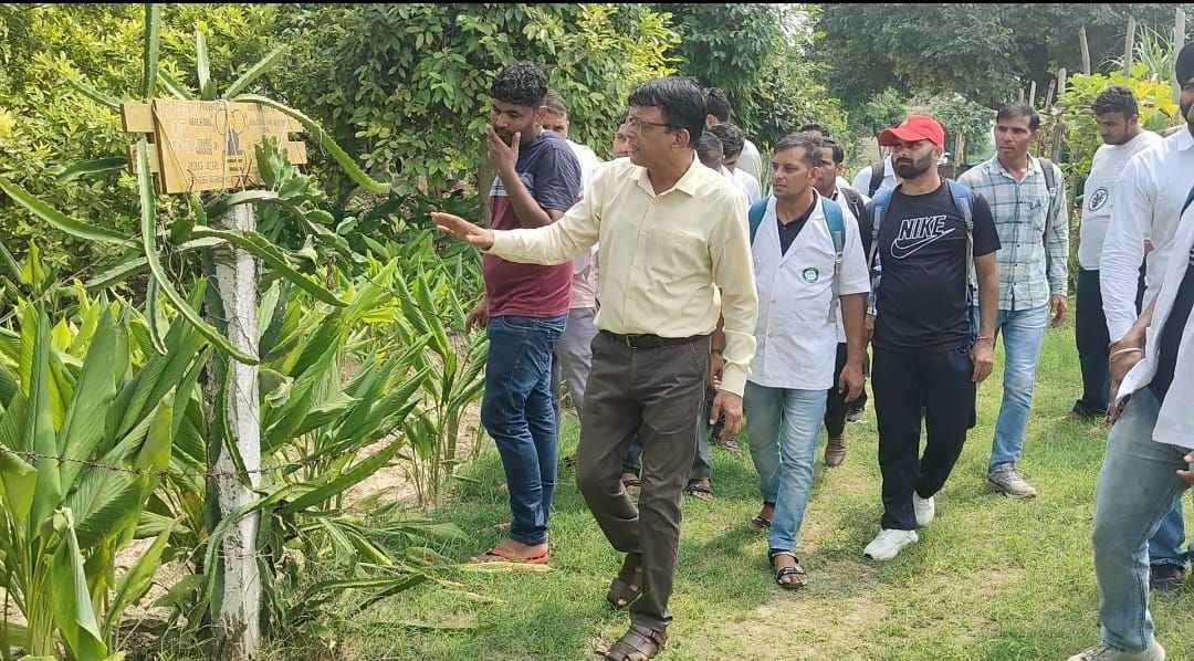 02जेएनडी30 : प्रशिक्षुओं को प्राकृतिक खेती के बारे में जानकारी देते डॉ. सुभाष चंद्र। संवाद