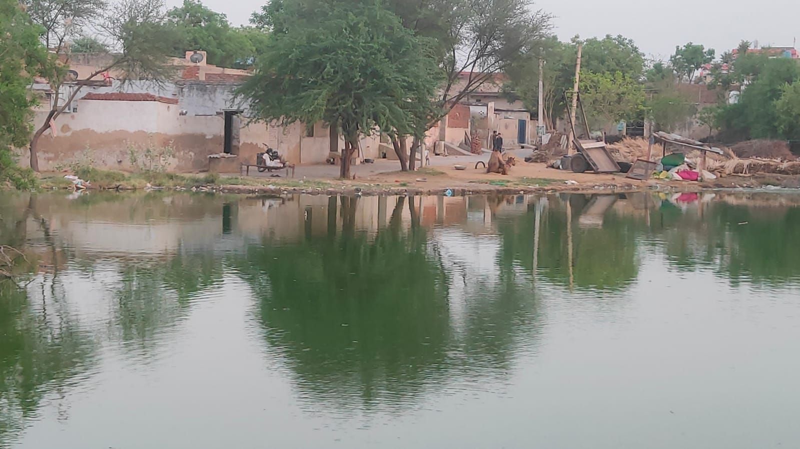 फोटो संख्या:58- सतनाली के वार्ड नंबर 20 में भरा गंदा पानी--संवाद