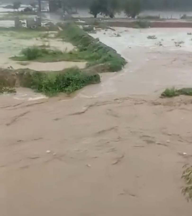 नाहन विधानसभा क्षेत्र के अंतर्गत त्रिलोकपुर मार्ग पर कॉलोनी में जलभराव का दृश्य। संवाद
