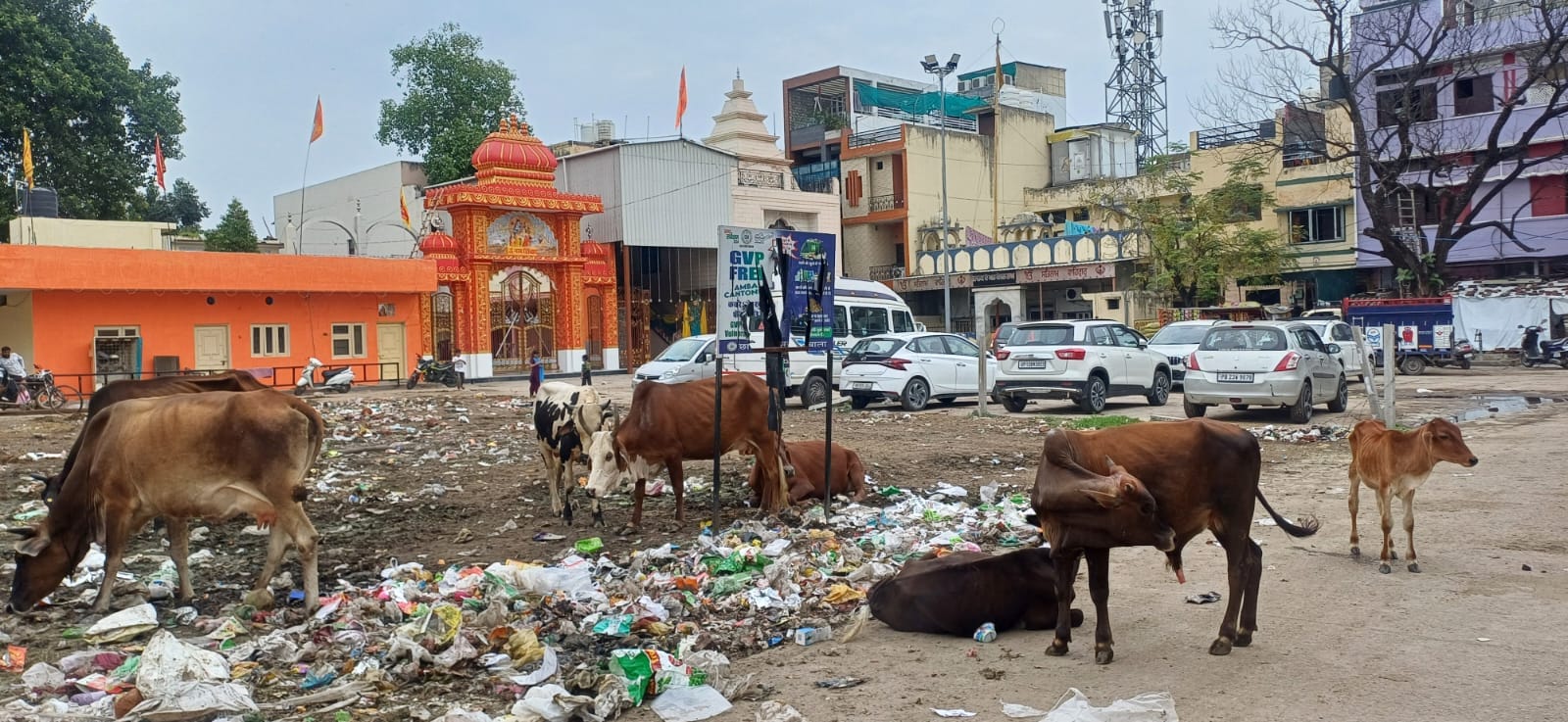 अंबाला जगाधरी नेशल हाइवे स्थित बीसी बाजार के पास मौजूद गोवंश और पास से गुजरते वाहन चालक। अंबाला जगाधरी नेशल हाइवे स्थित बीसी बाजार के पास मौजूद गोवंश और पास से गुजरते वाहन चालक।