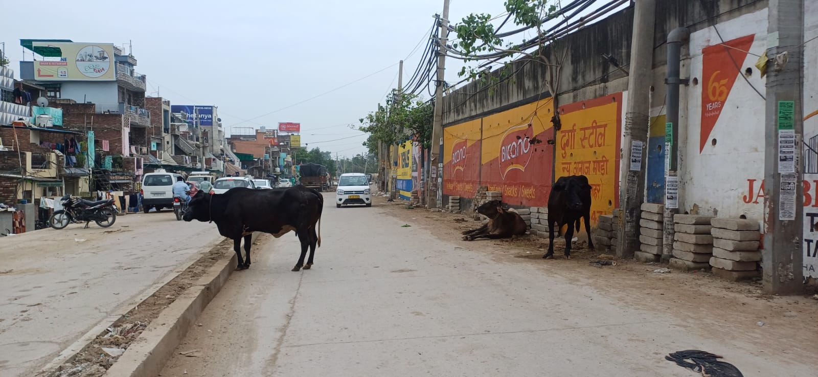 अंबाला जगाधरी नेशल हाइवे स्थित बीसी बाजार के पास मौजूद गोवंश और पास से गुजरते वाहन चालक। अंबाला जगाधरी नेशल हाइवे स्थित बीसी बाजार के पास मौजूद गोवंश और पास से गुजरते वाहन चालक।