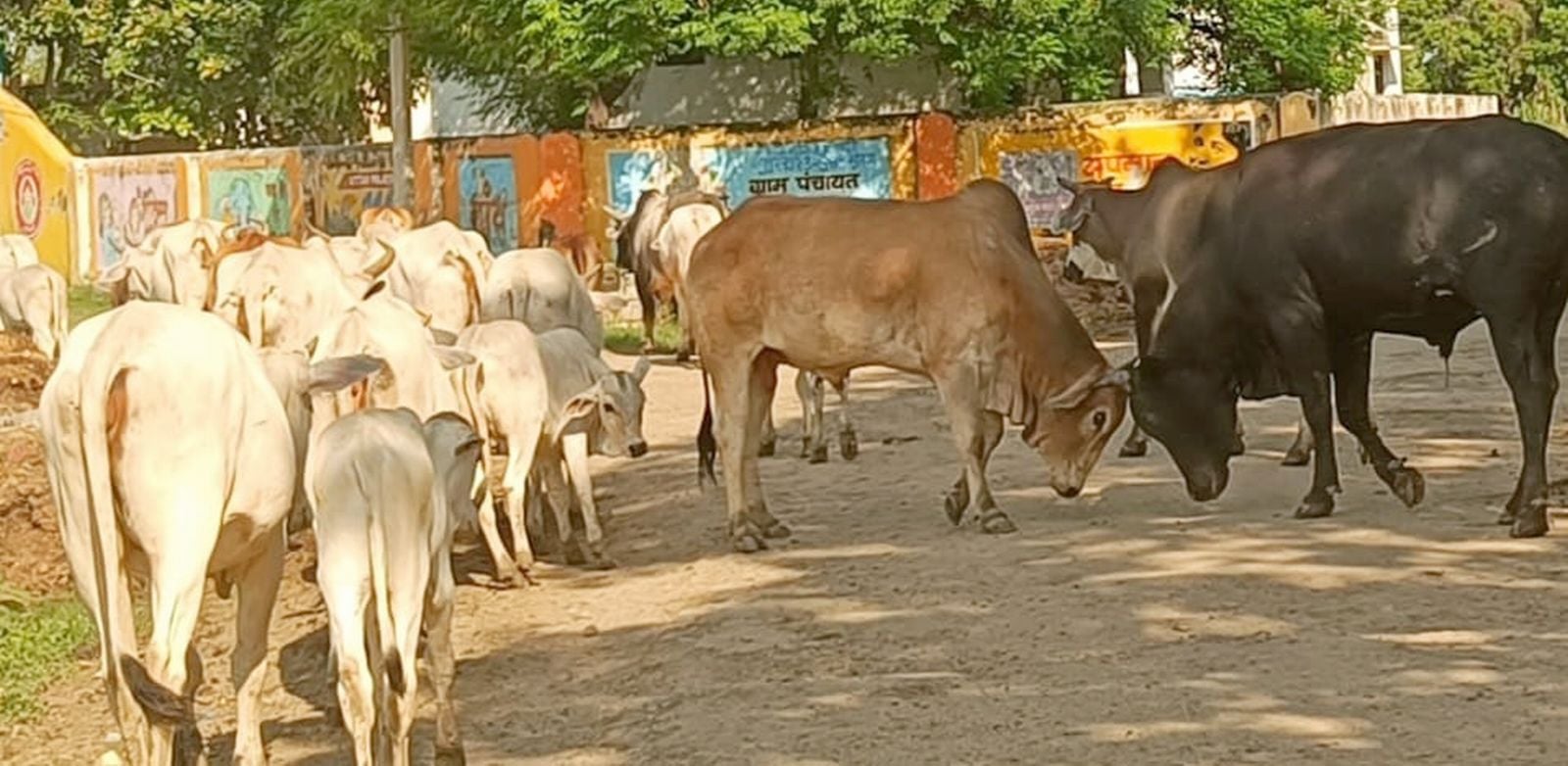 वेदप्रकाश का फाइल फोटो।