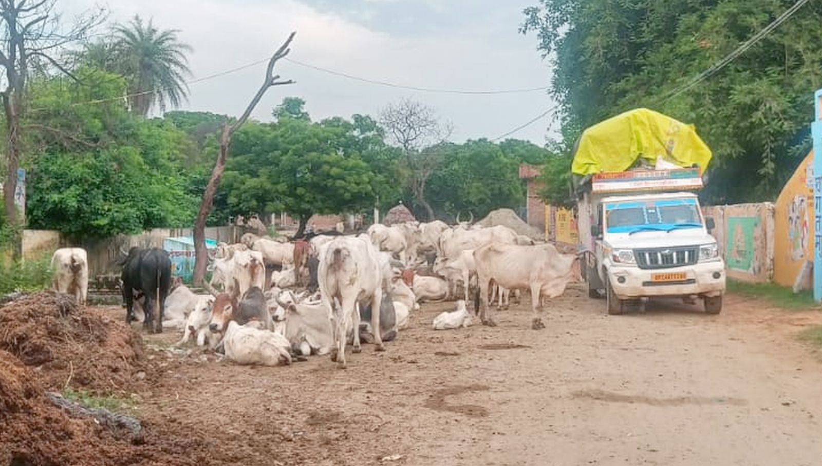 वेदप्रकाश का फाइल फोटो।