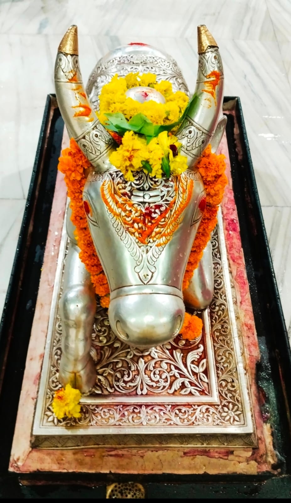 भस्मारती मे श्री गणेश स्वरूप में सजे बाबा महाकाल, भस्म भी रमाई, गूंज उठा जय श्री गणेश जय श्री म