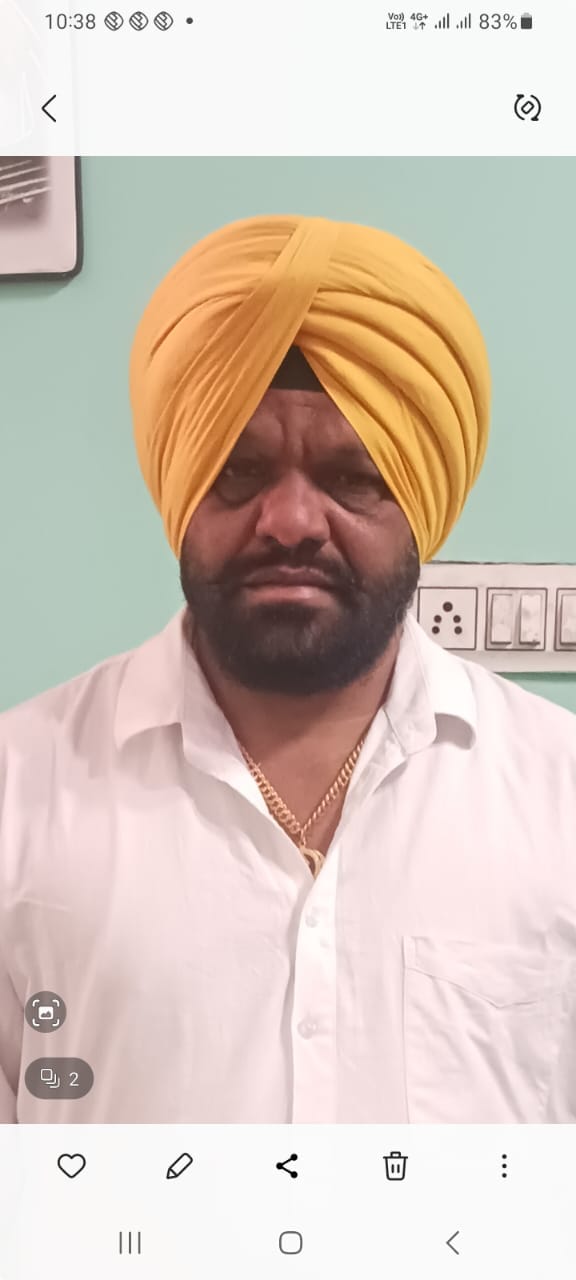 बारिश के कारण खेतों में बिछी धान की फसल। संवाद बारिश के कारण खेतों में बिछी धान की फसल। संवाद